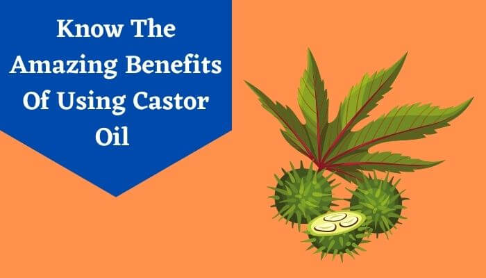 What are the benefits of castor oil for hair?
